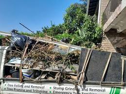 Best Shed Removal  in Monrovia, IN